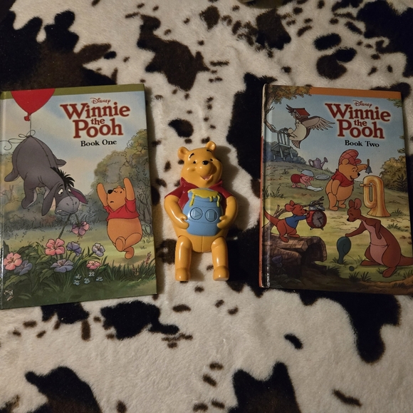 2011 winnie the pooh take along books with music player - Picture 1 of 3